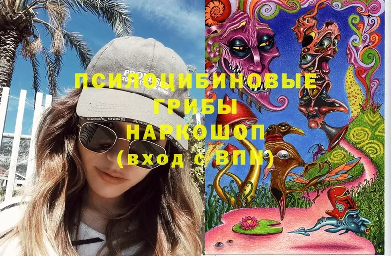 Галлюциногенные грибы Cubensis  Мамадыш 